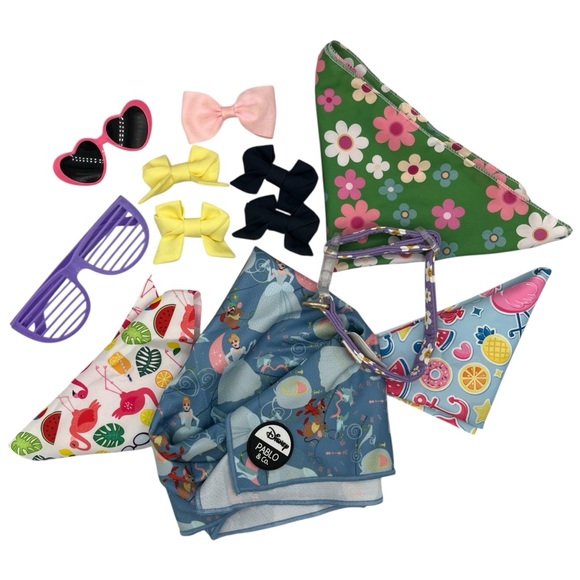 Bundle of Small and Medium Dog Accessories - Picture 1 of 8
